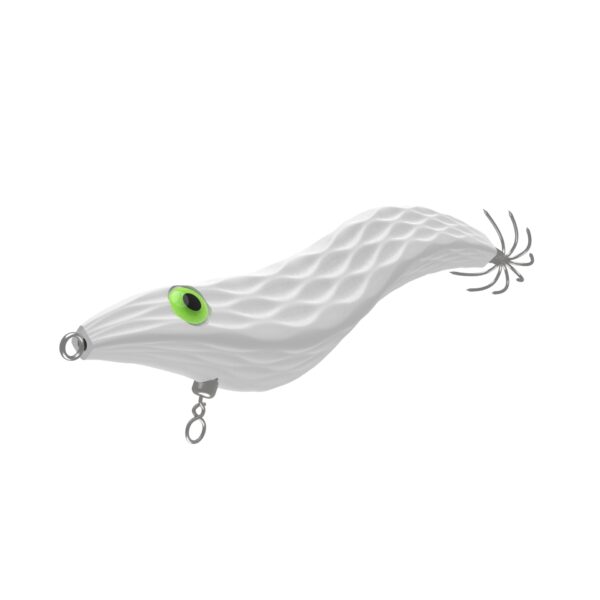 Squid