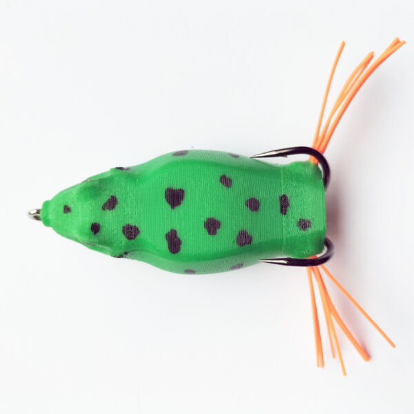 Frog – Image 5