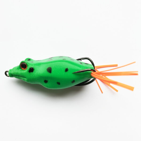 Frog – Image 4