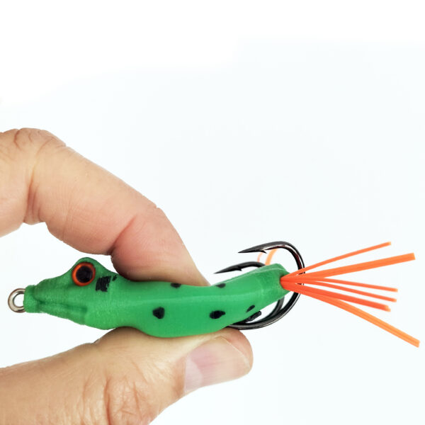 Frog – Image 7